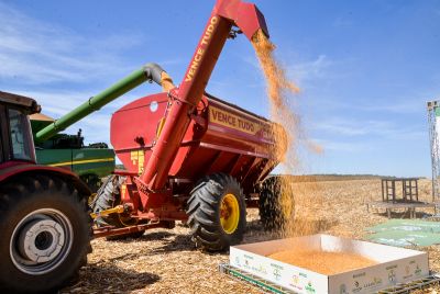 Safra de milho e desafios do setor sero debatidos na Abertura Nacional da Colheita da Segunda Safra