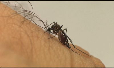 Casos de dengue no primeiro semestre de 2020 caem 96,2% em Sinop