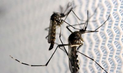 Casos de dengue aumentam 113,28% em Mato Grosso
