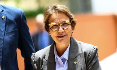 Ministra diz que Brasil pode intensificar produo sem derrubar rvore