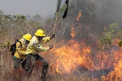 Ibama manda recolher todos agentes de combate a incndios por falta de recursos