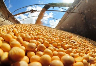 Colheita de soja atinge 63% da rea plantada no Brasil em 2018/19, diz AgRural