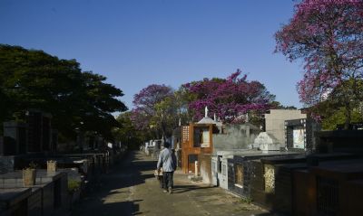 No pior domingo da pandemia, Brasil registra 1.803 mortes em 24h