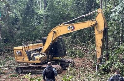 Durante fiscalizao, desmatamento ilegal  flagrado e infratores so multados em R$ 10 milhes