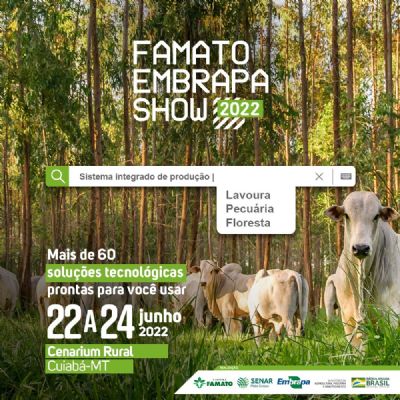 Famato Embrapa Show apresenta forrageiras e outras tecnologias para pecuria