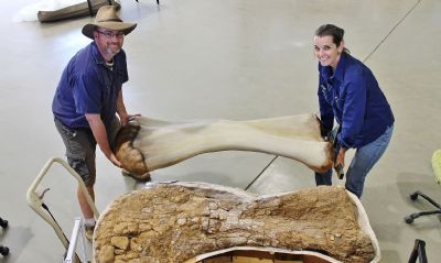 Dinossauro descoberto na Austrlia  identificado como nova espcie
