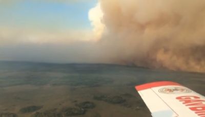 Incndio de grande proporo atinge o Pantanal e destri mais de 7,5 mil hectares