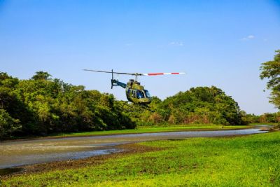 Governo de MT mantm estrutura de atendimento a animais silvestres no Pantanal