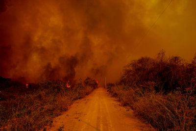 Com devastao e queimada no Pantanal, BID Pantanal volta  pauta de debate