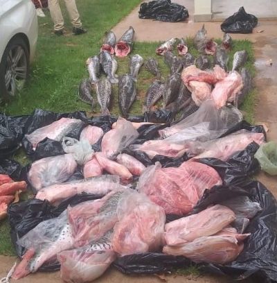 Suspeito  preso aps furar barreira policial com 340 kg de pescado irregular