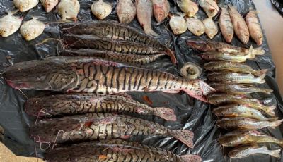 Aps denncia, PM prende homem com pescado irregular, tarrafas e redes