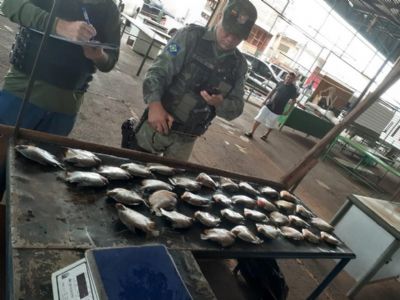 PM e Sema apreendem 97 kg pescado irregular em Tangar da Serra