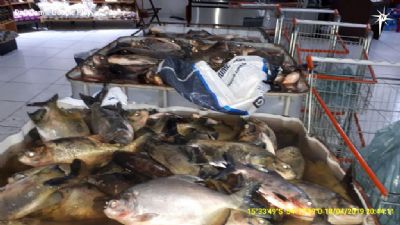 Instituies filantrpicas de Primavera do Leste recebem doao de pescado apreendido pela Sema