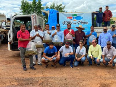 Empaer e Consrcio do Pantanal entregam 25 mil alevinos para agricultores da Regio Oeste