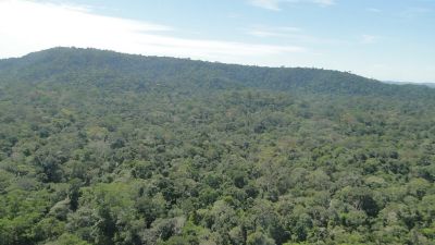 Plano anual inclui 24 florestas pblicas em consulta sobre concesses para 2023