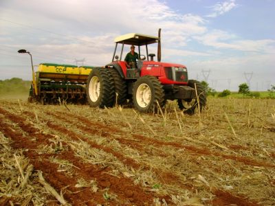 Nova projeo estima rea plantada de soja de 11,8 milhes de hectares em MT