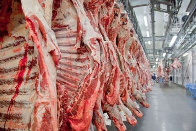 MT registra novo recorde histrico nas exportaes de carne bovina