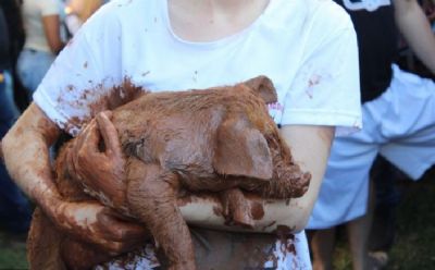 Justia probe Pega do Porco na Lama em Araric (RS)