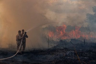 Mato Grosso  o estado com maior nmero de queimadas desde janeiro