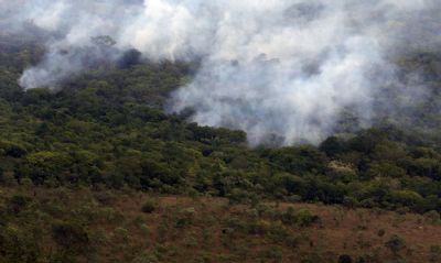 Decreto probe queimadas em todo o Brasil por 120 dias