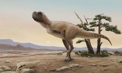 Nova espcie de dinossauro carnvoro  descoberta em So Paulo