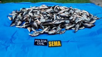 Sema apreende 220 quilos de peixes em operao contra pesca ilegal em Guarant do Norte
