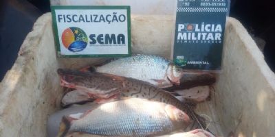 Fiscais da Sema apreendem 26,5 kg de pescado