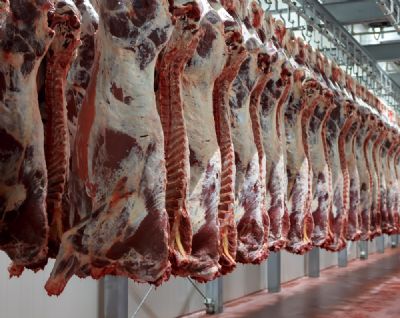 Exportao de carne bovina em agosto cresce 19,4% ante agosto de 2019, diz Abiec