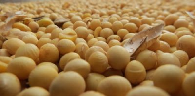 Soja: colheita em MT atinge 98,61% da rea da safra 2018/19