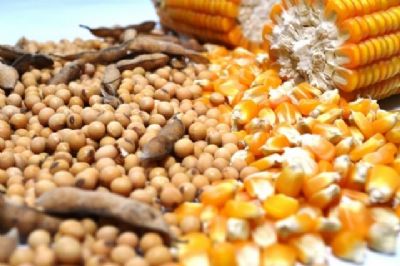No PR, colheita de soja 18/19 atinge 96%; plantio 2 safra de milho  finalizado