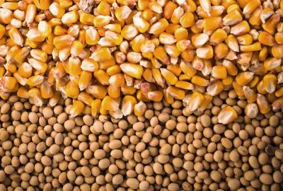 Governo zera imposto de importao da soja e do milho para frear desabastecimento