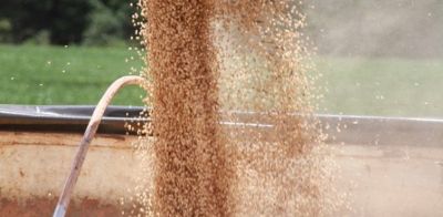 Pesquisadores orientam sobre adubao equilibrada em sistema de produo soja-milho