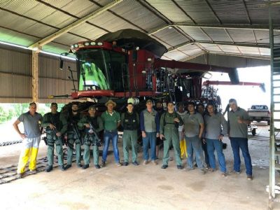 No circuito da soja de MT, fazendeiros aplaudem decreto pr-armas