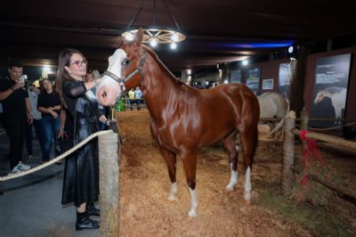 Madrinha da Semana do Cavalo, primeira-dama de MT participa da abertura do maior evento equestre do Centro-Oeste
