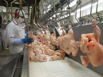 China suspende importao de carne de frango de unidade da BRF em MT