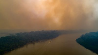 Com forte reduo no Pantanal, focos de calor tm queda de 29% no perodo proibitivo em MT