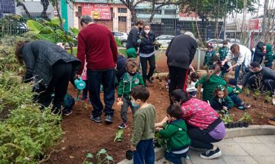 Alimentao escolar: projetos brasileiros so exemplo de boas prticas